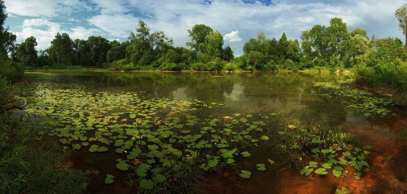 Старый пруд фото превью