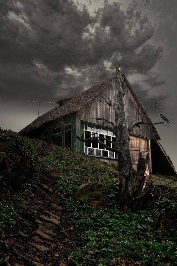 house, adandoment, tree, grass, crow, mystery, sky, cloudly, Caras Ionut