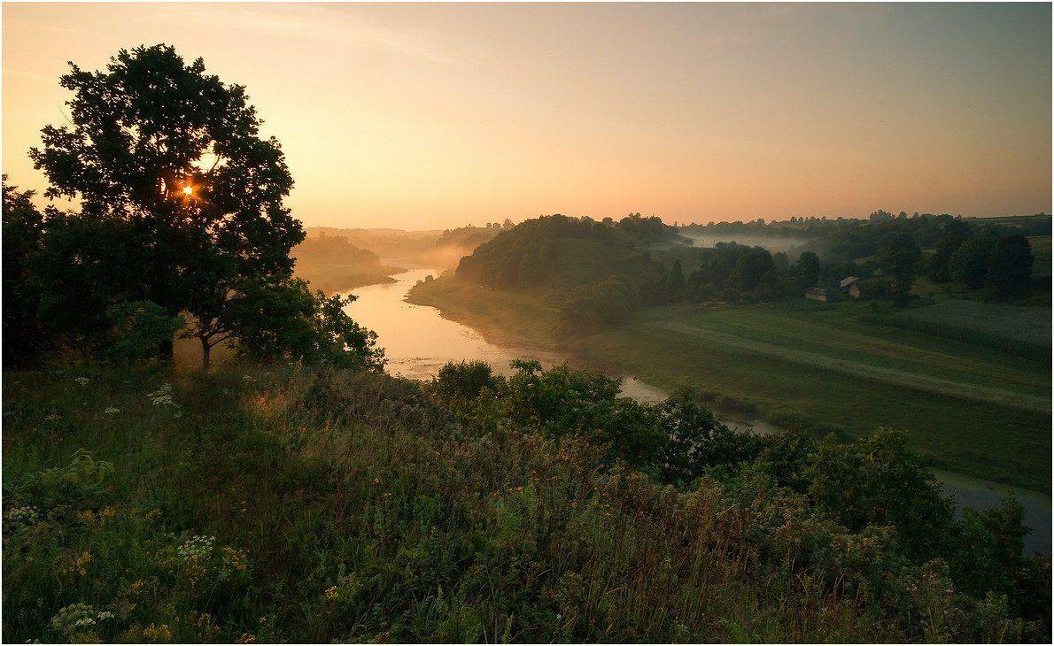 8.00, Николай Шахманцир