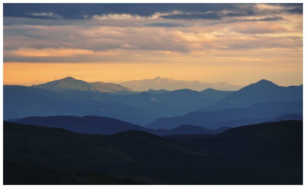 , Денис Кривой