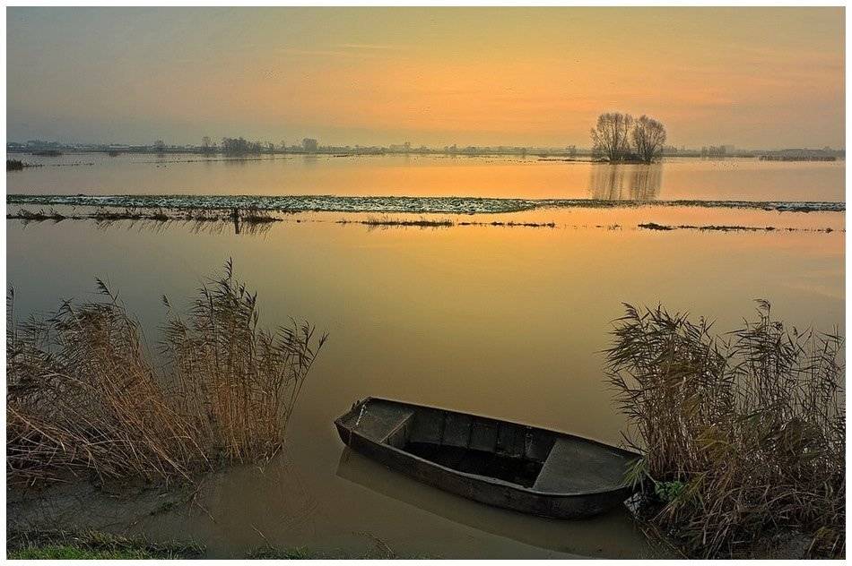 , Johny Hemelsoen