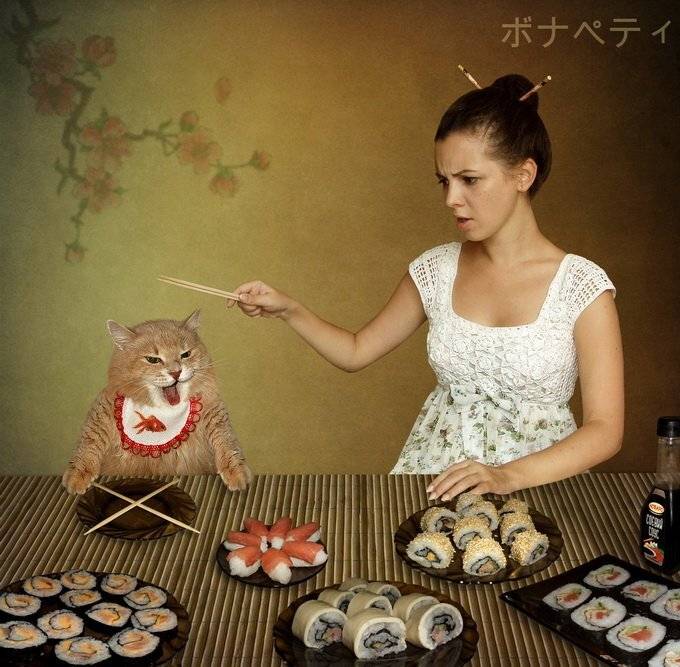 Я научу тебя роллы любить!. Автор: Iridi (Ирина Кузнецова) японская кухня, кошка, Iridi (Ирина Кузнецова)