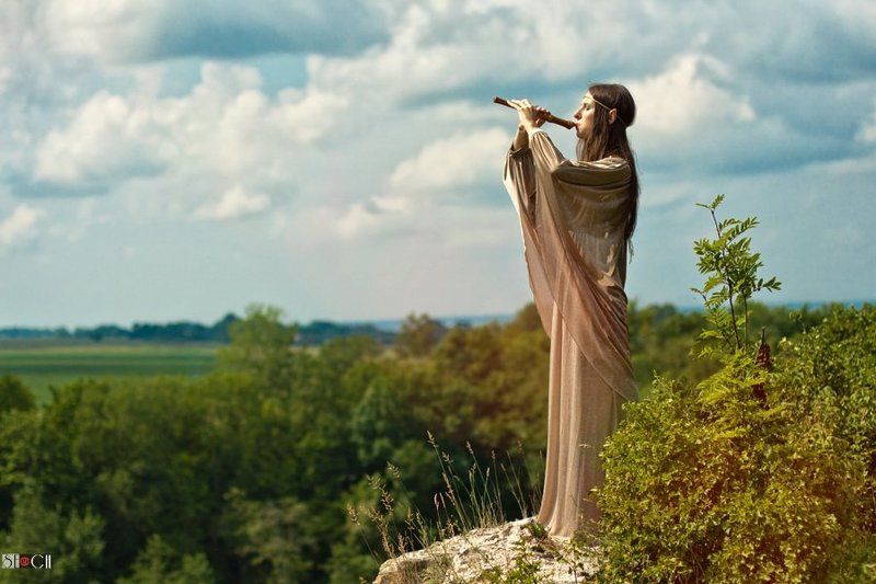 улица, лето, природа  фото превью