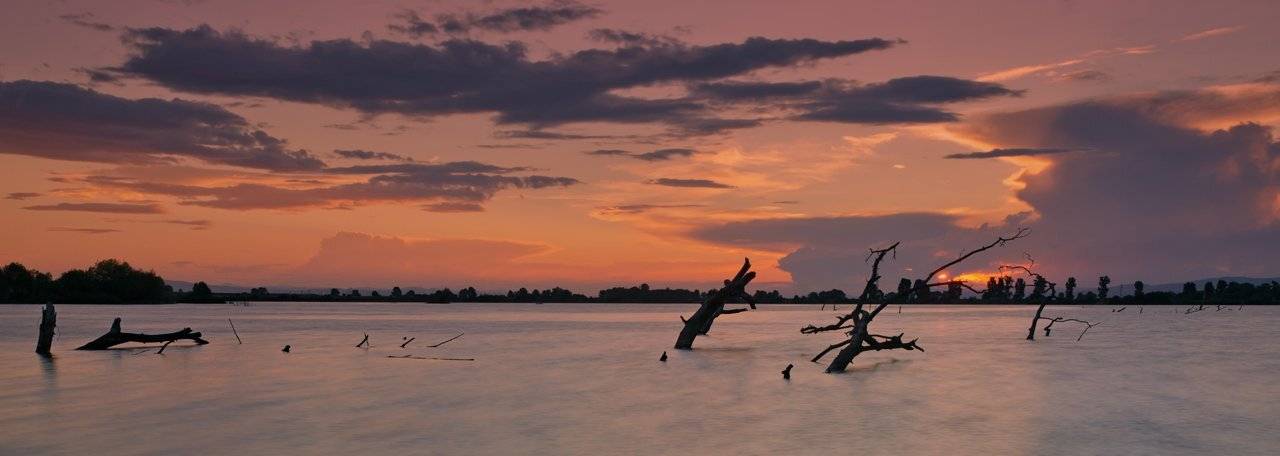 sunset, lake, tree, Philip Peynerdjiev