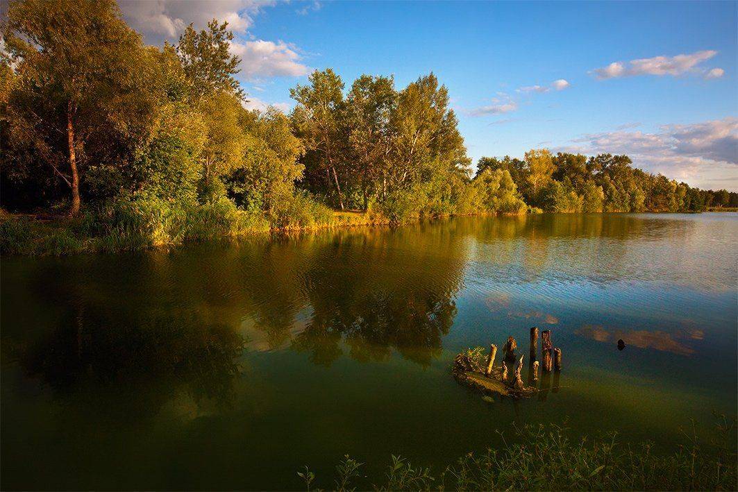 , Петр Антонович