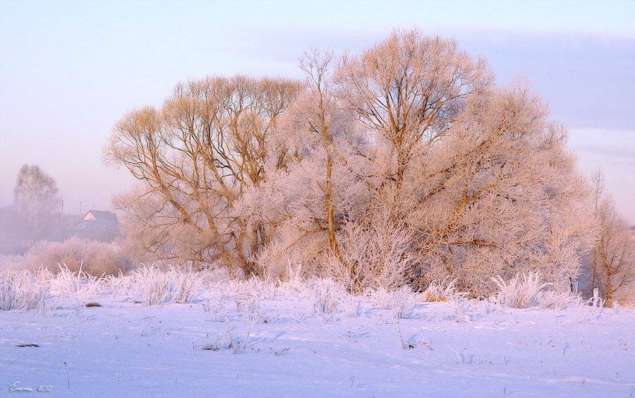 природа, зима, холод, етти