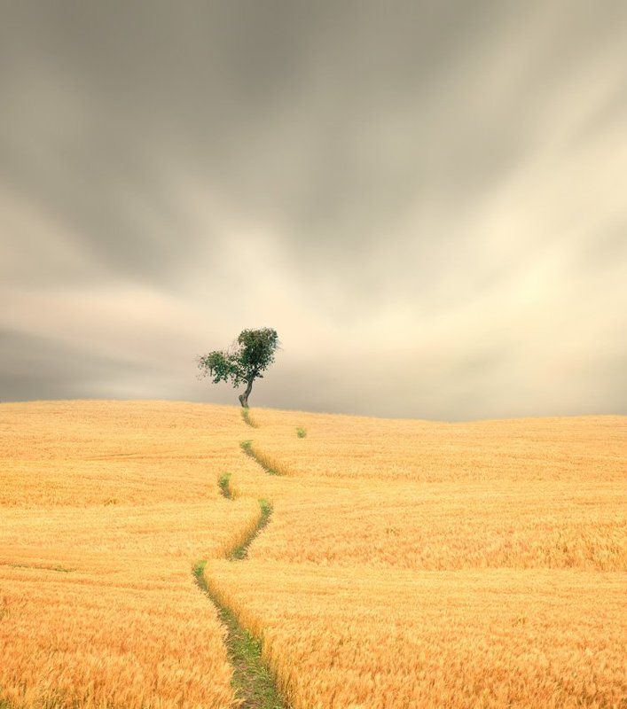 Caras Ionut