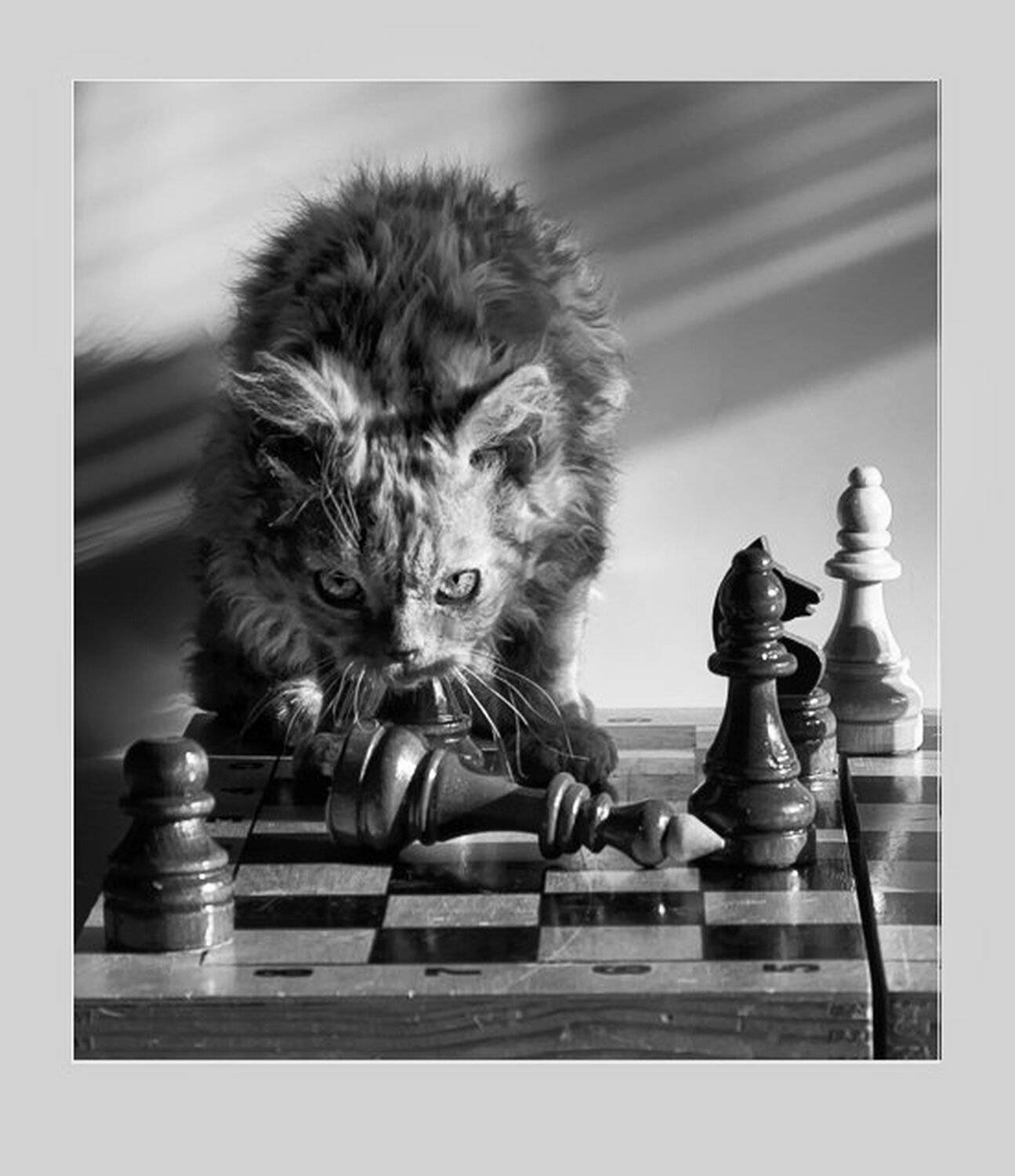 , Наталья Кузнецова (Nateletro)