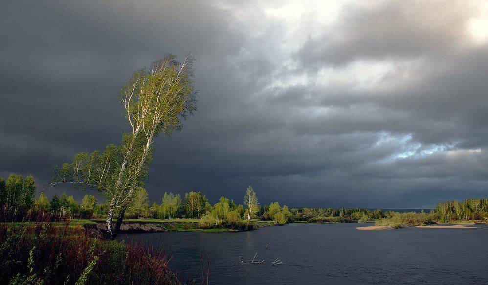 , Николай Морский