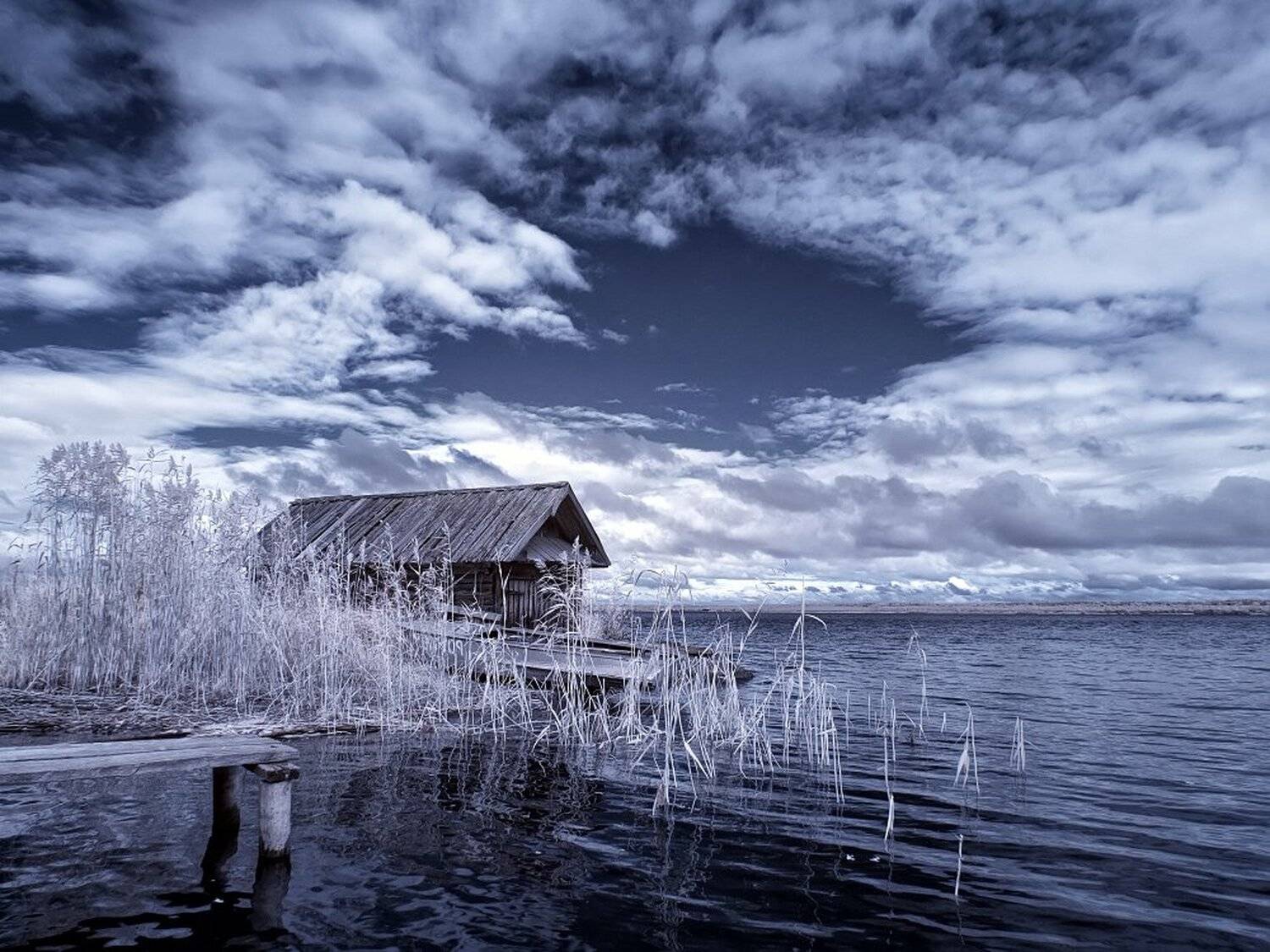 , Максим Евдокимов