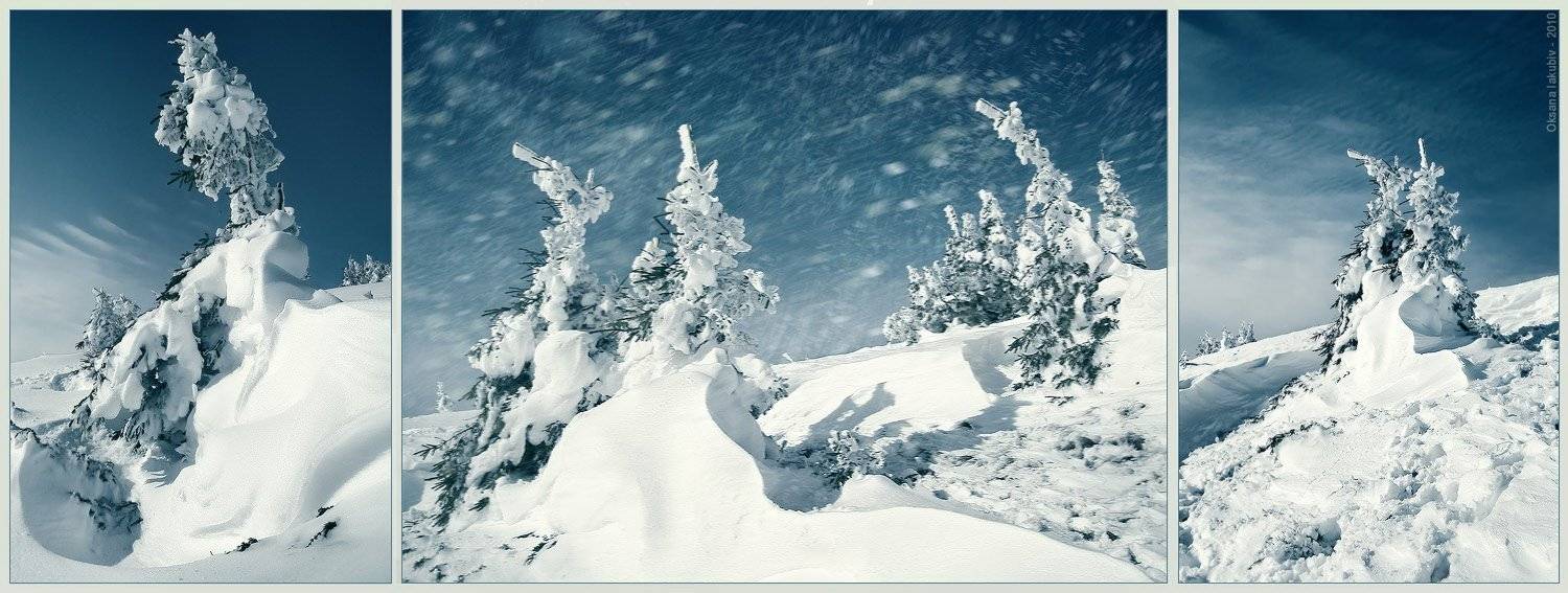 карпаты, зима, осень, Oksana