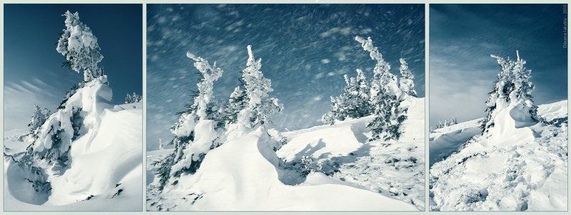 карпаты, зима, осень  фото превью