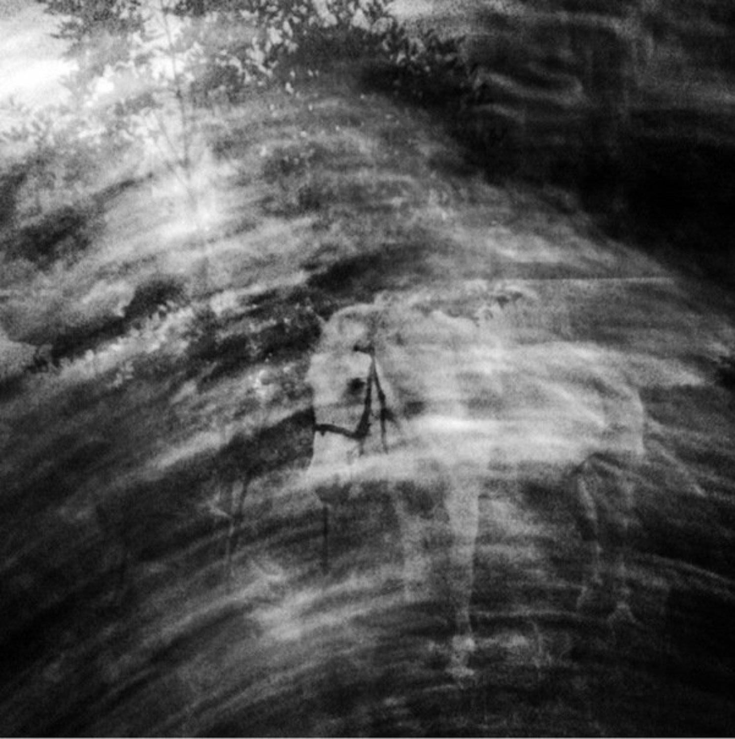 -, Полина Кириленко