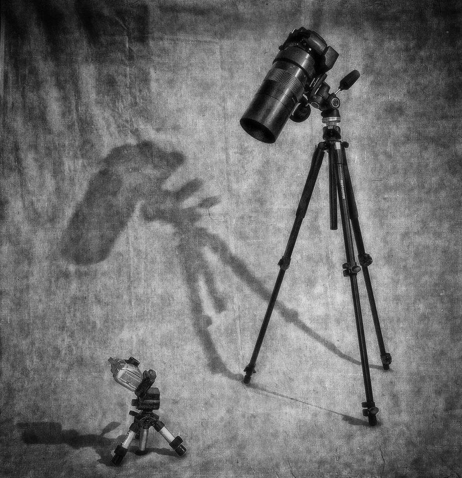 , Марина Брыдня