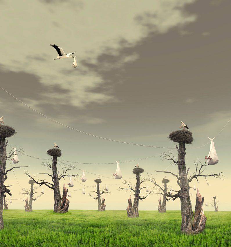 , Caras Ionut