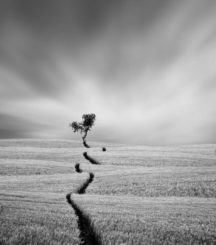 Caras Ionut