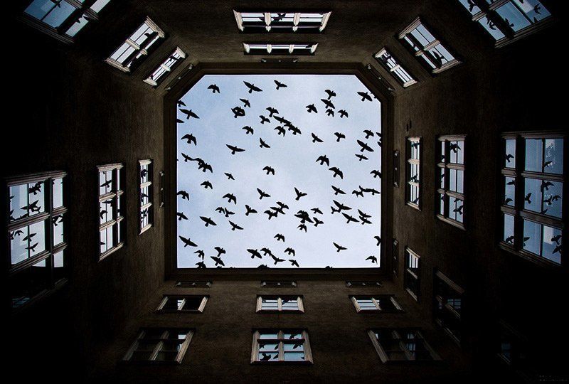 фото превью