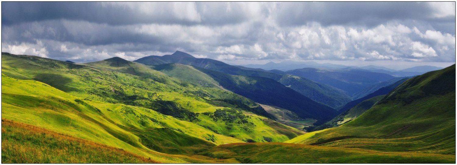 , Денис Кривой