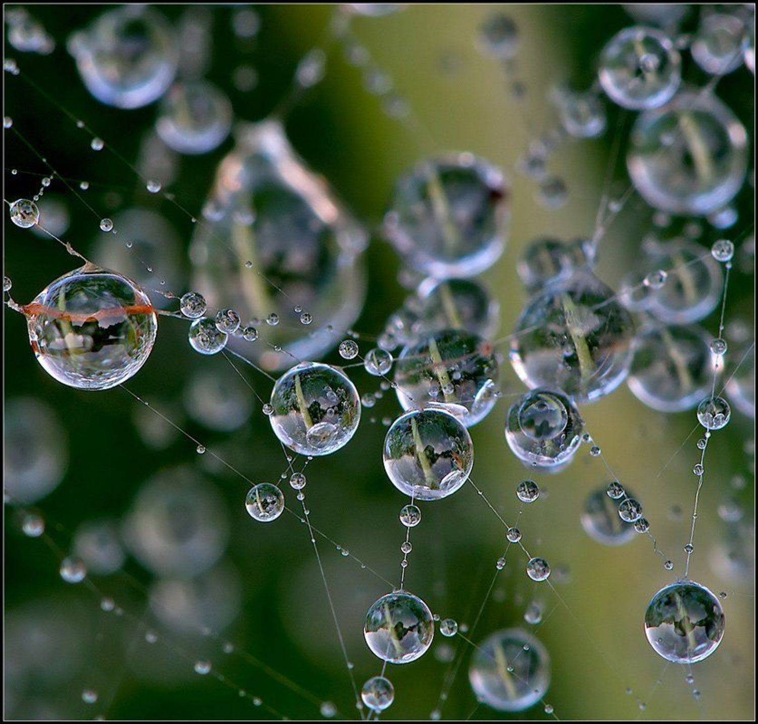 , Евгений Кирилкин.