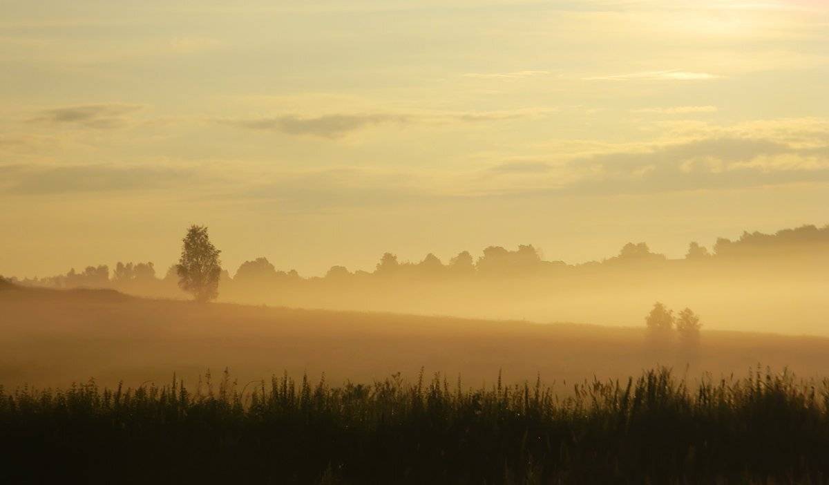 утро, Юлия Володина