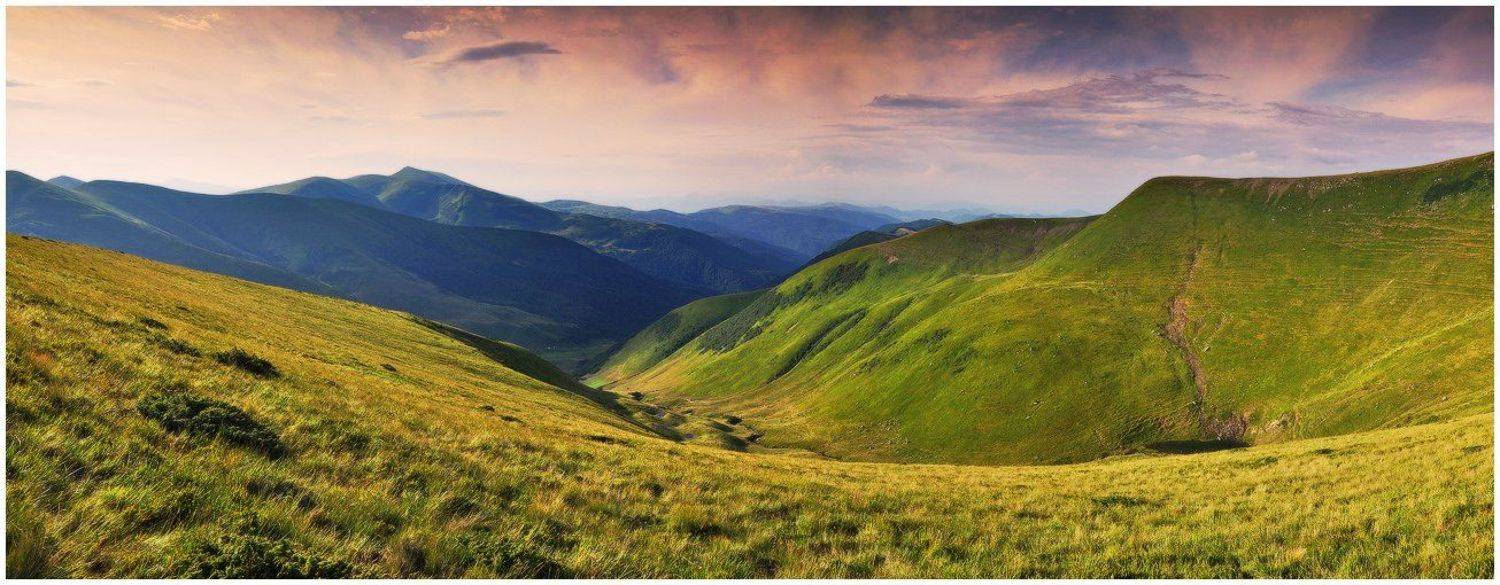 , Денис Кривой