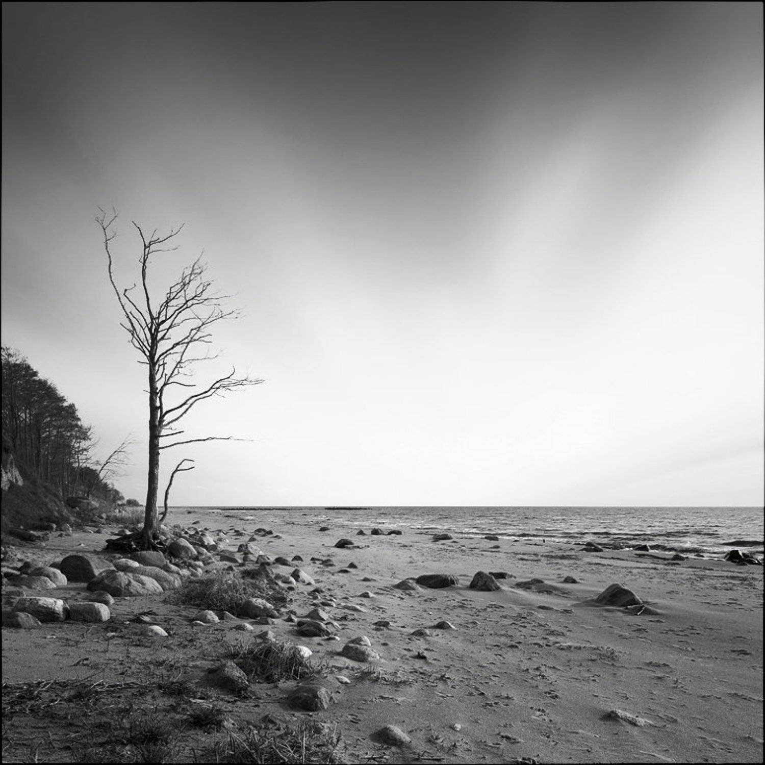 , Лариса Гурьева