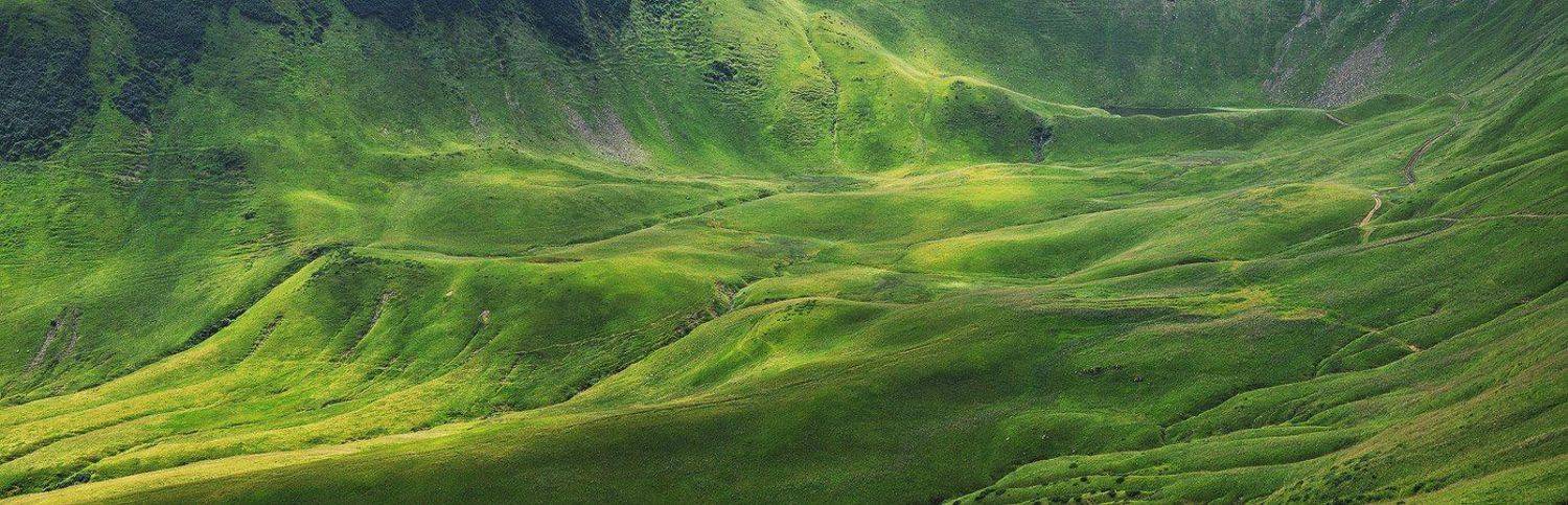 , Денис Кривой