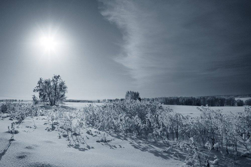 облако, солнце, зима, Николай Морский