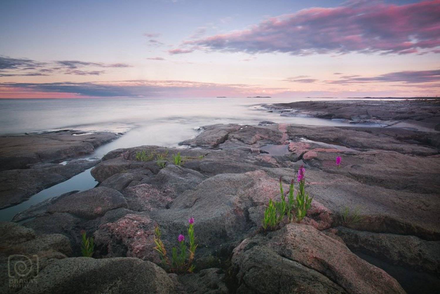 ладога, ладожское, озеро, карелия, пейзаж, камни, цветы, берег, небо, закат, Ольга Брага (Eglantier)