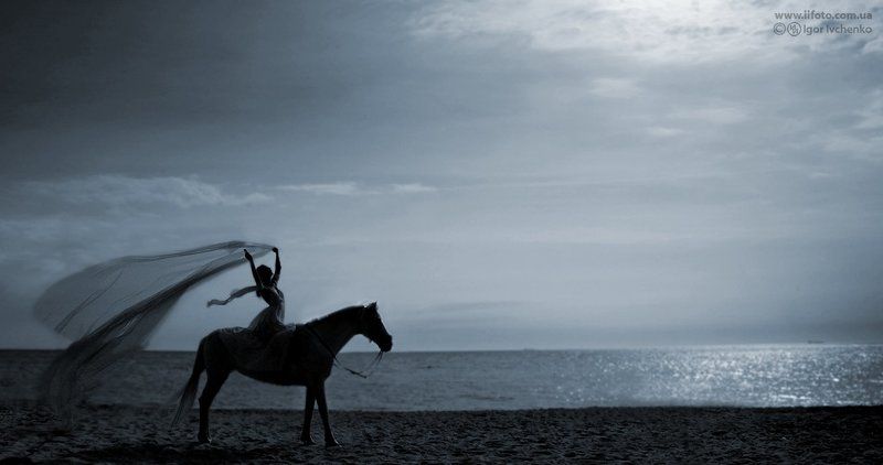 лошади, конный спорт  фото превью