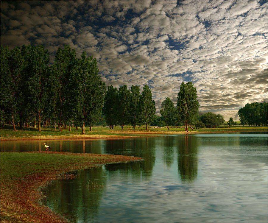 , Juliana Nan