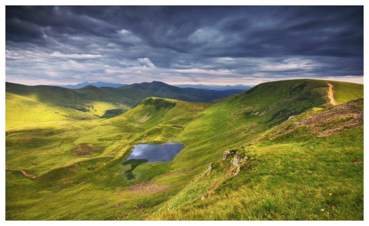 , Денис Кривой