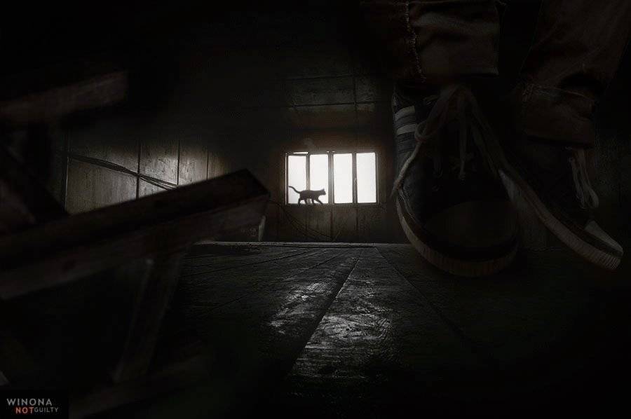 cat, suicide, attic, d90, Мухамбетов Руслан