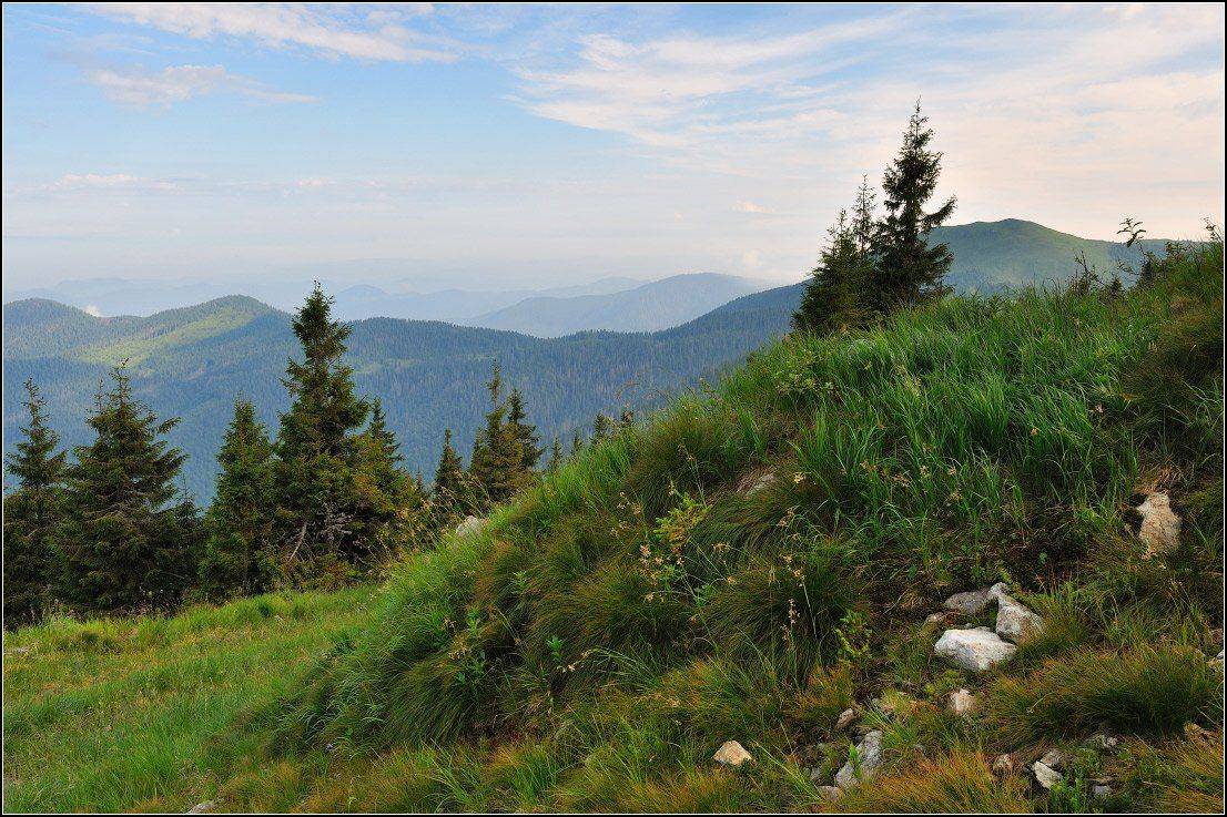 карпаты, мармаросы, Dmitry