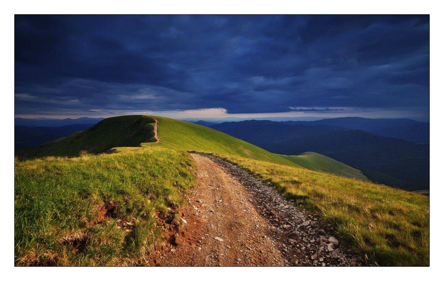 , Денис Кривой