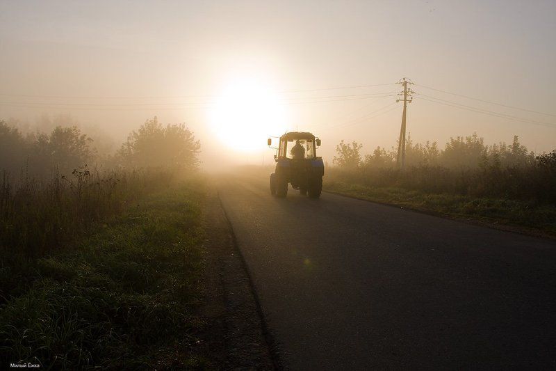 туман  фото превью
