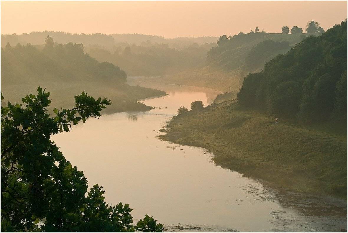 , Николай Шахманцир