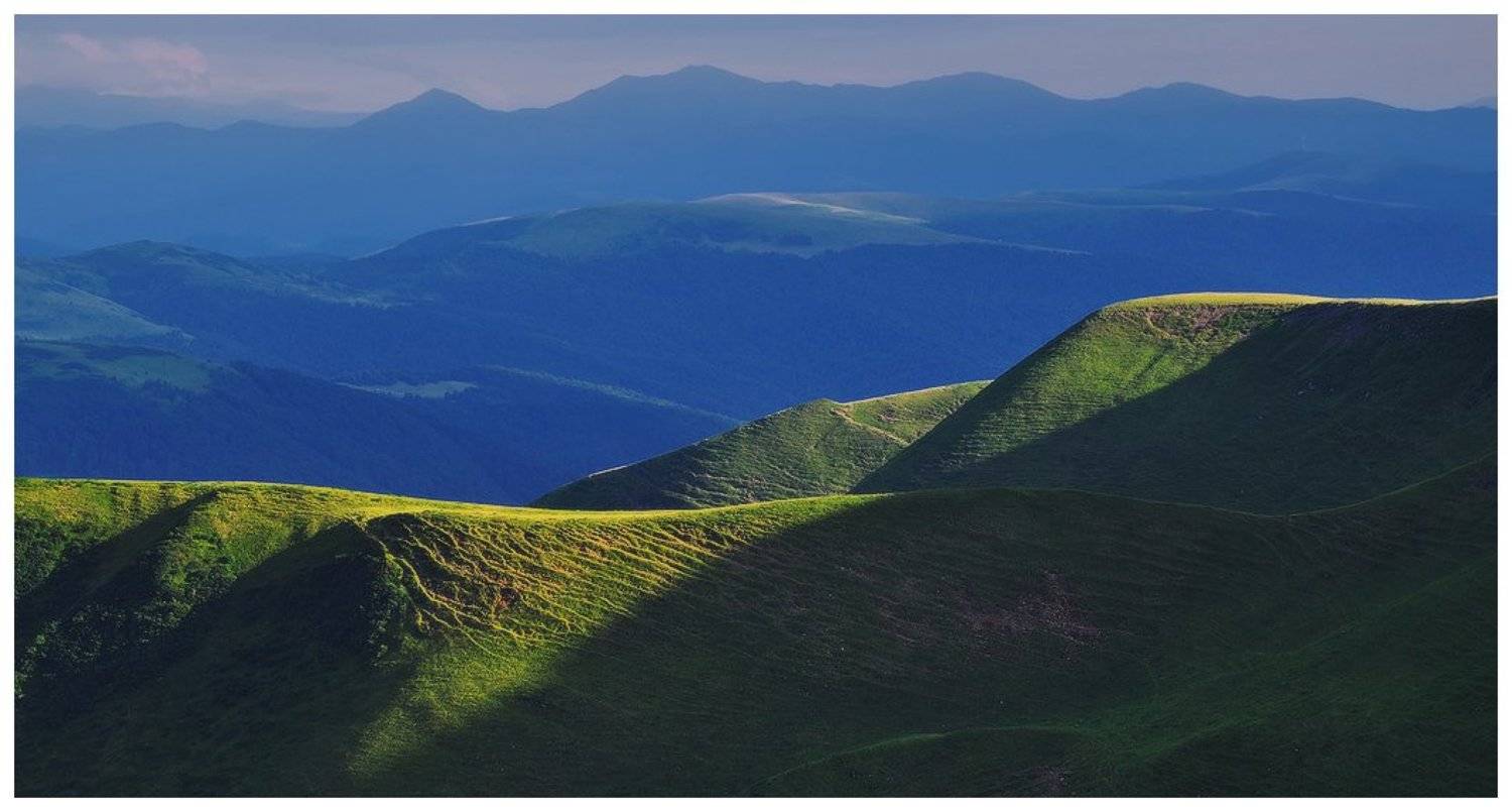 , Денис Кривой