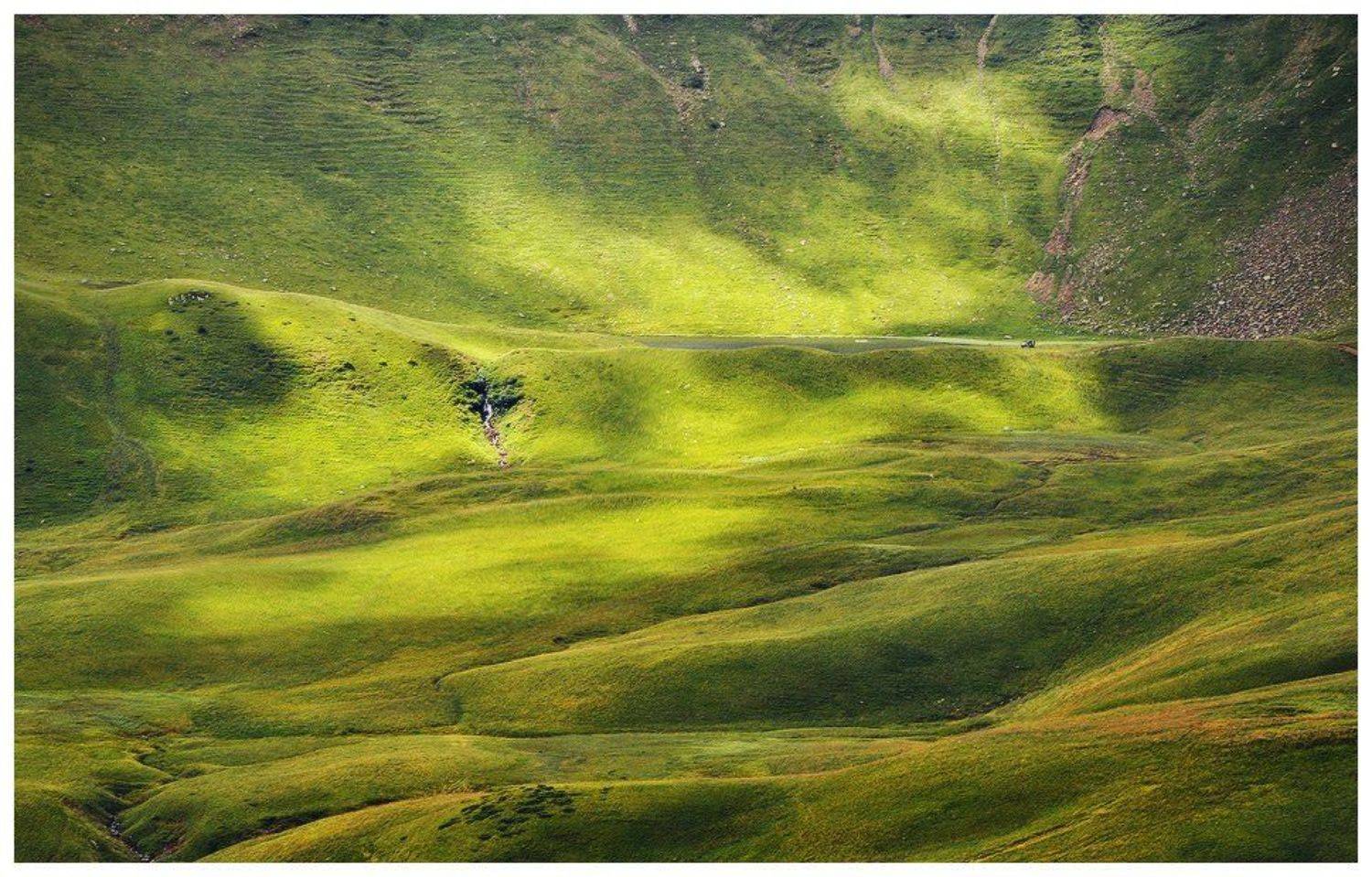 , Денис Кривой