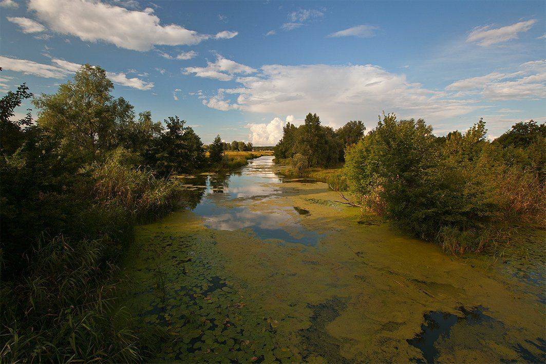 , Петр Антонович