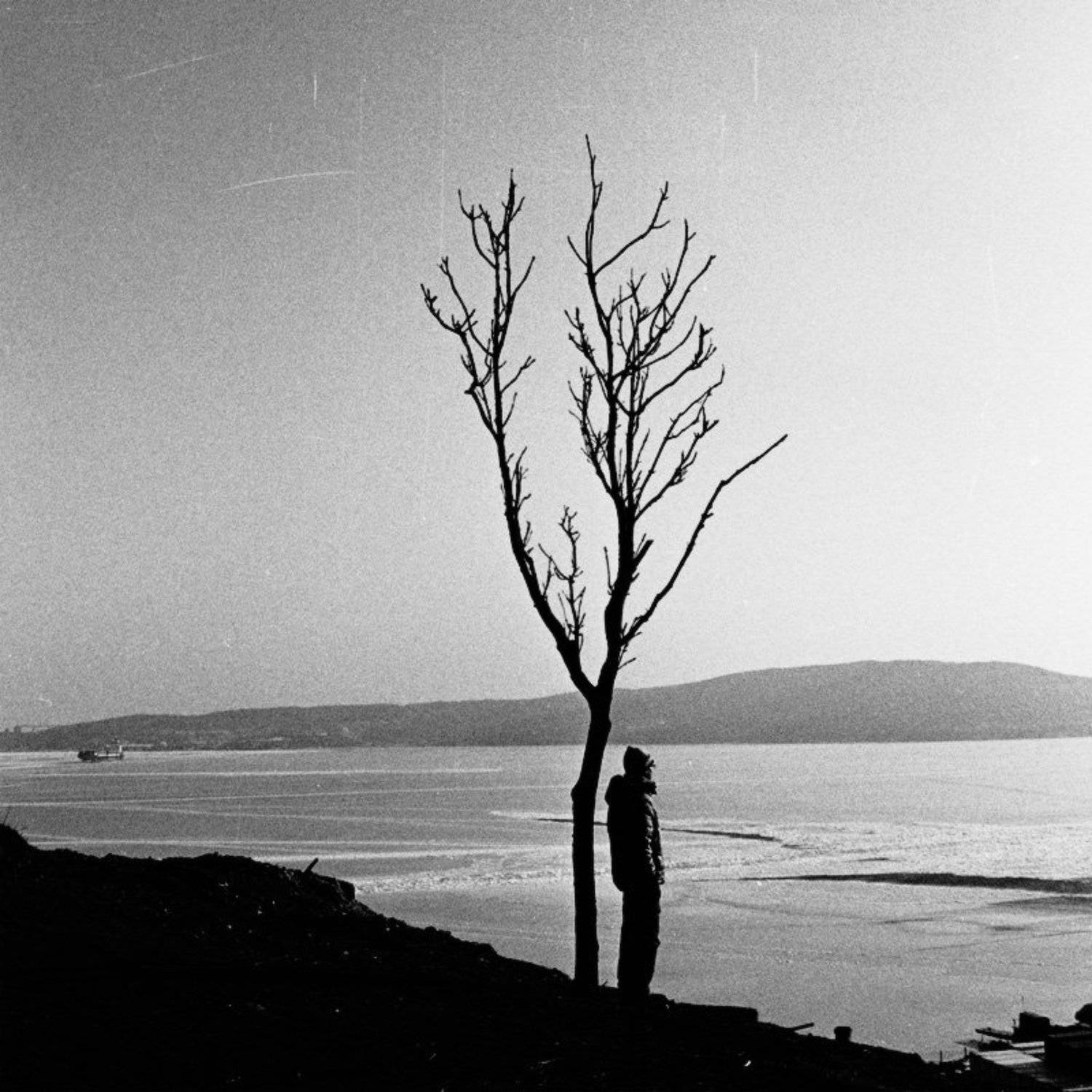 одиночество, одинокий, дерево, черно-белая, пленка, rolley, retro, Зуева Юля