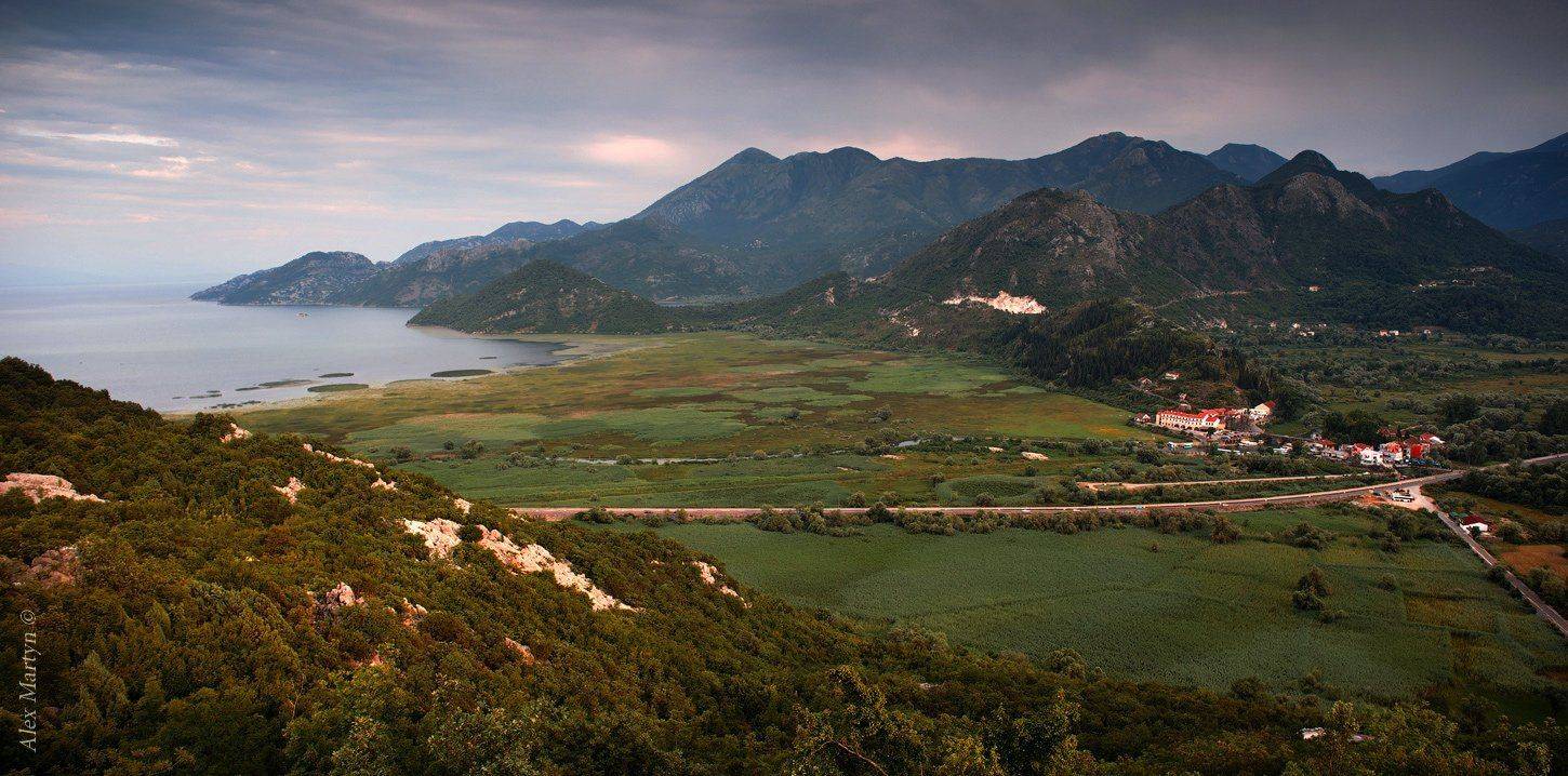 скадарское, черногория, озеро, Alexander Martynov