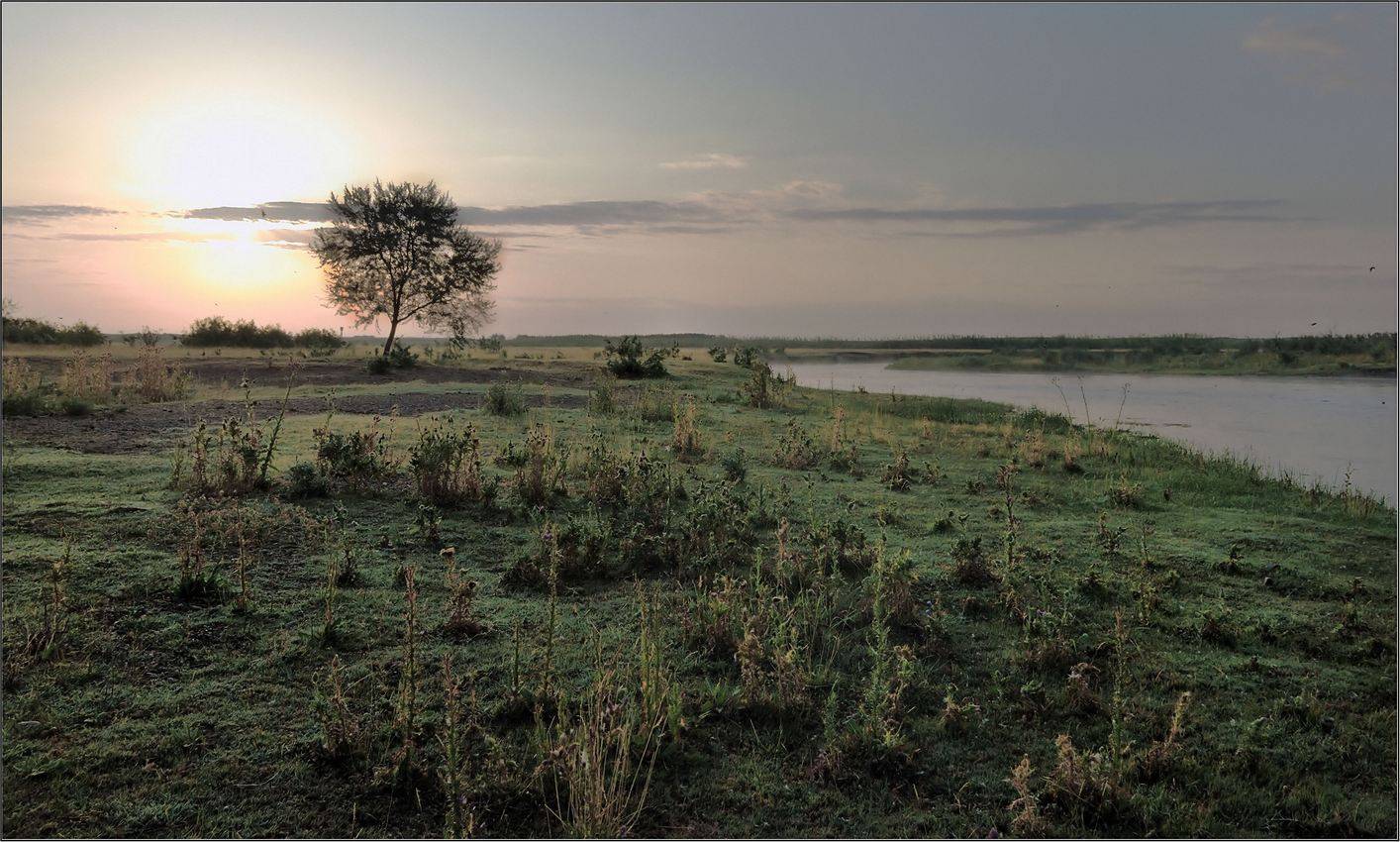 природа, казахстана, юг, Геннадий Меремьянин