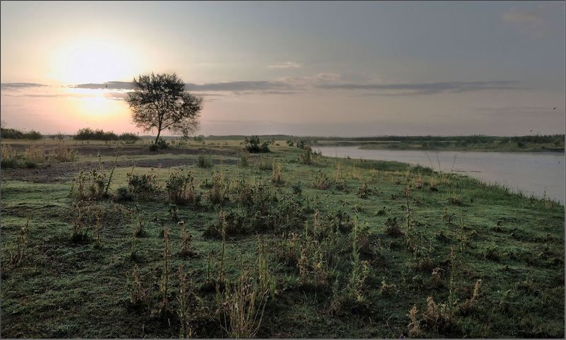 природа, казахстана, юг  фото превью