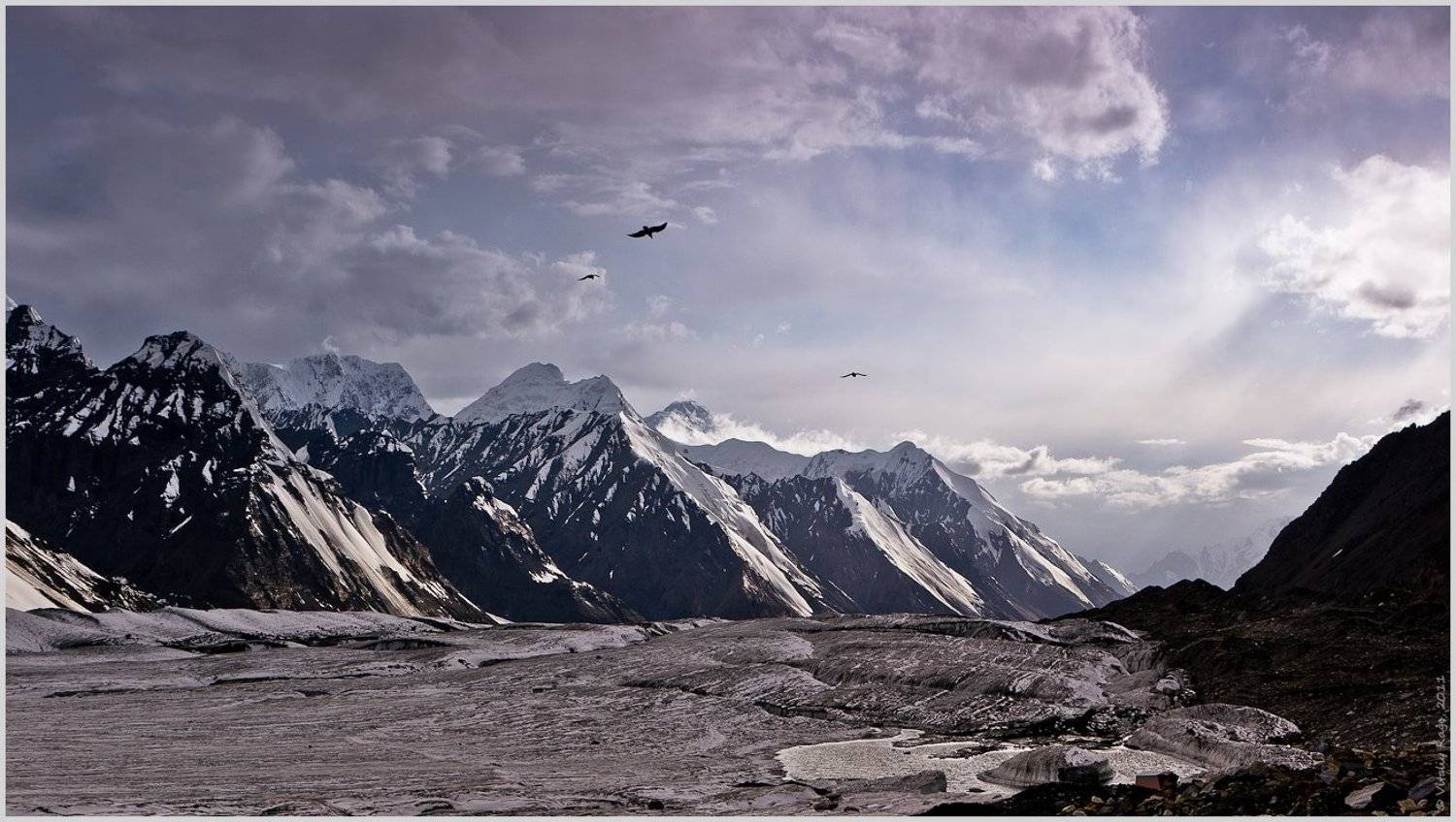 горы, иныльчек, ледник, зима, птицы, альпинизм, свобода, казахстан, хан-тенгри, путь, выбор, высота, Vitaliy Rage