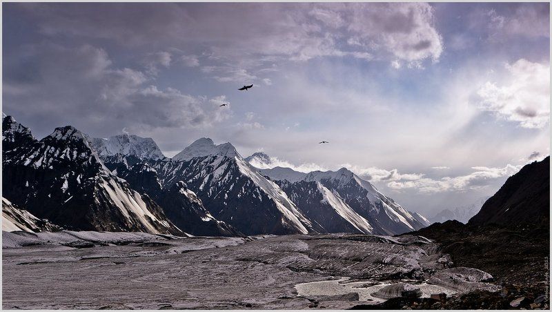 горы, иныльчек, ледник, зима, птицы, альпинизм, свобода, казахстан, хан-тенгри, путь, выбор, высота  фото превью