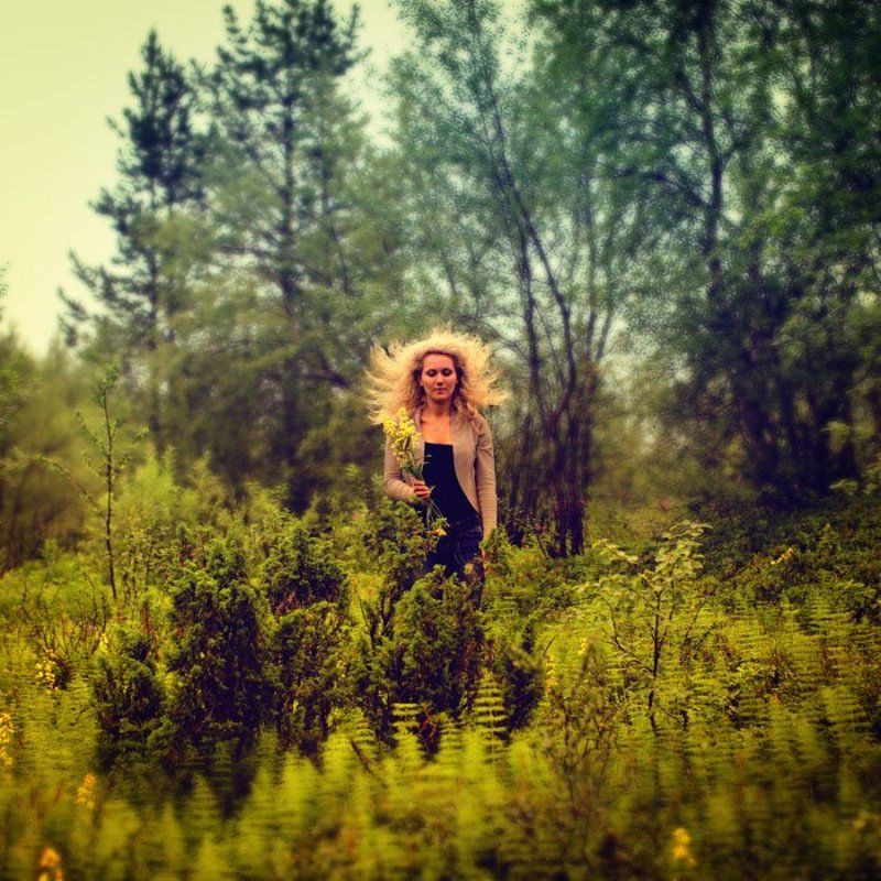 фото превью