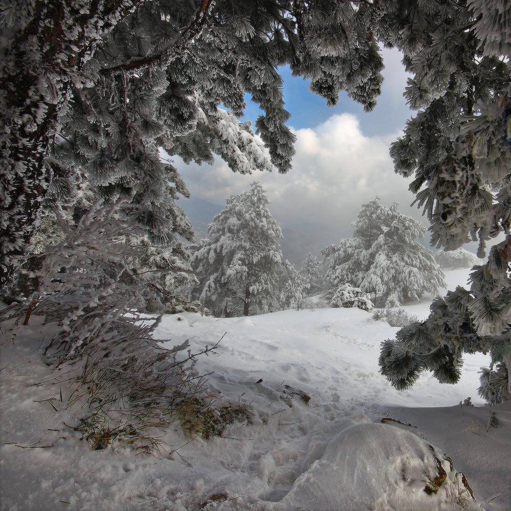 ай-петри, горы, зима, крым, Петриченко Валерий