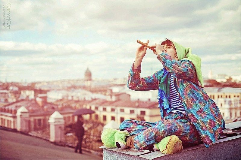 roof, carrotcat  фото превью