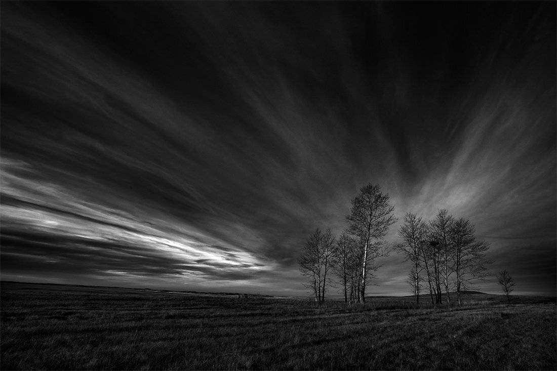 , Андрей Журавлев